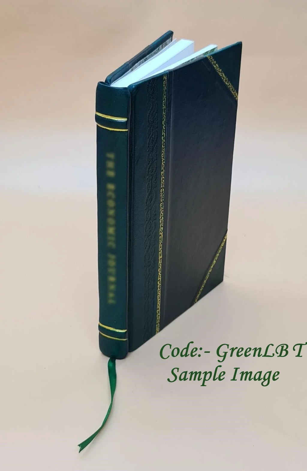 St. Joe River Road Forest Route 20 Shoshone County : environmental impact statement. Fsup. Volume Fsup 1976 [Leather Bound]