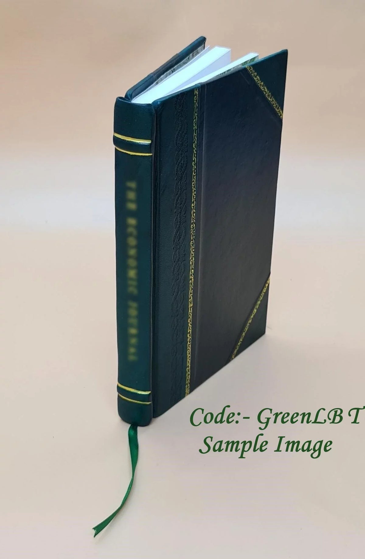 St. Joe River Road Forest Route 20 Shoshone County : environmental impact statement. Fsup. Volume Fsup 1976 [Leather Bound]