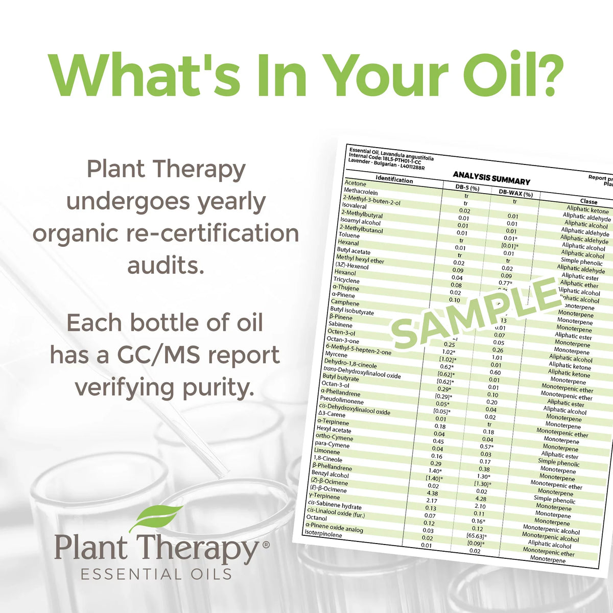 Plant Therapy Organic Tea Tree Oil (Melaleuca) 100% Pure, USDA Certified Organic, Undiluted, Natural Aromatherapy, Therapeutic Grade 100 mL (3.3 oz)