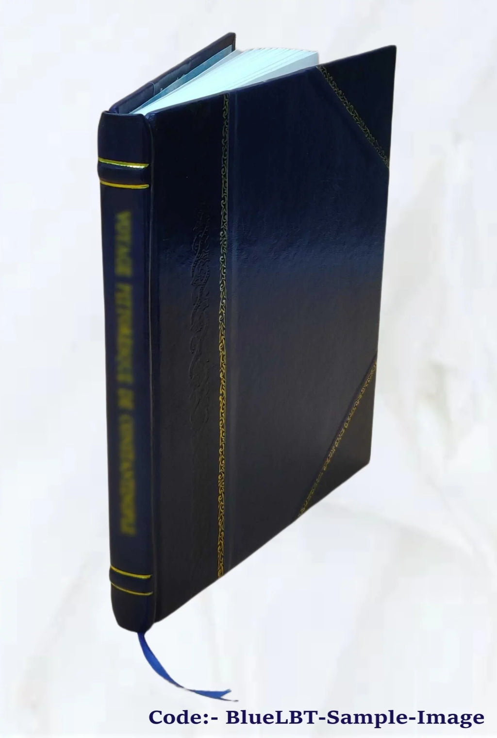 NAEP 1998 reading state report for New York / Nada Ballator, Laura Jerry ; in collaboration with Alfred Rogers. 1999 [Leather Bound]