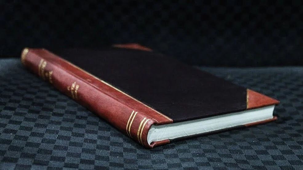A mountain mystery, or, The outlaws of the Rockies / by Lawrence L. Lynch (1886) [Leatherbound]