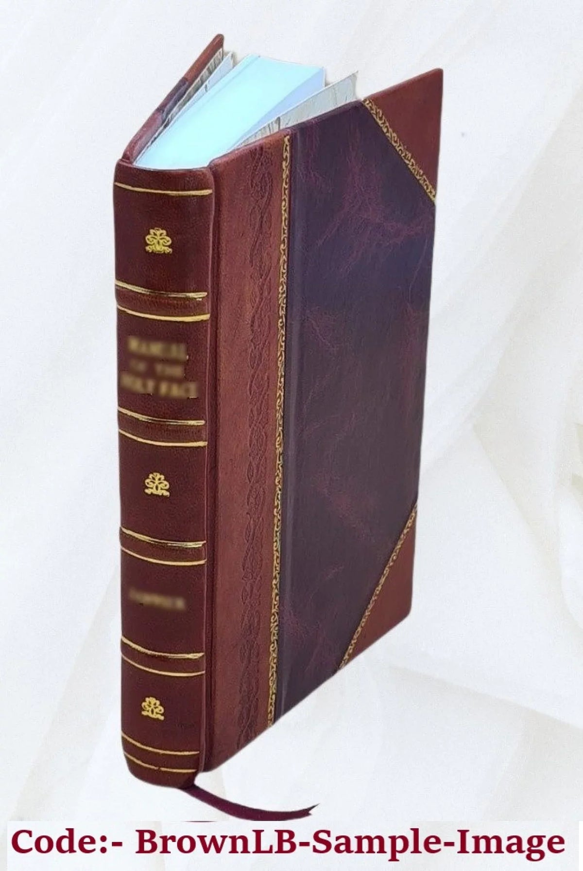 The South Australian company, a study in colonisation 1898 [Leather Bound]