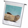 NW Hawaiian Islands, Midway Atoll, Monk Seal - US12 RJA0058 - Rebecca Jackrel 12 x 18 Unit Garden Flag fl-89891-1