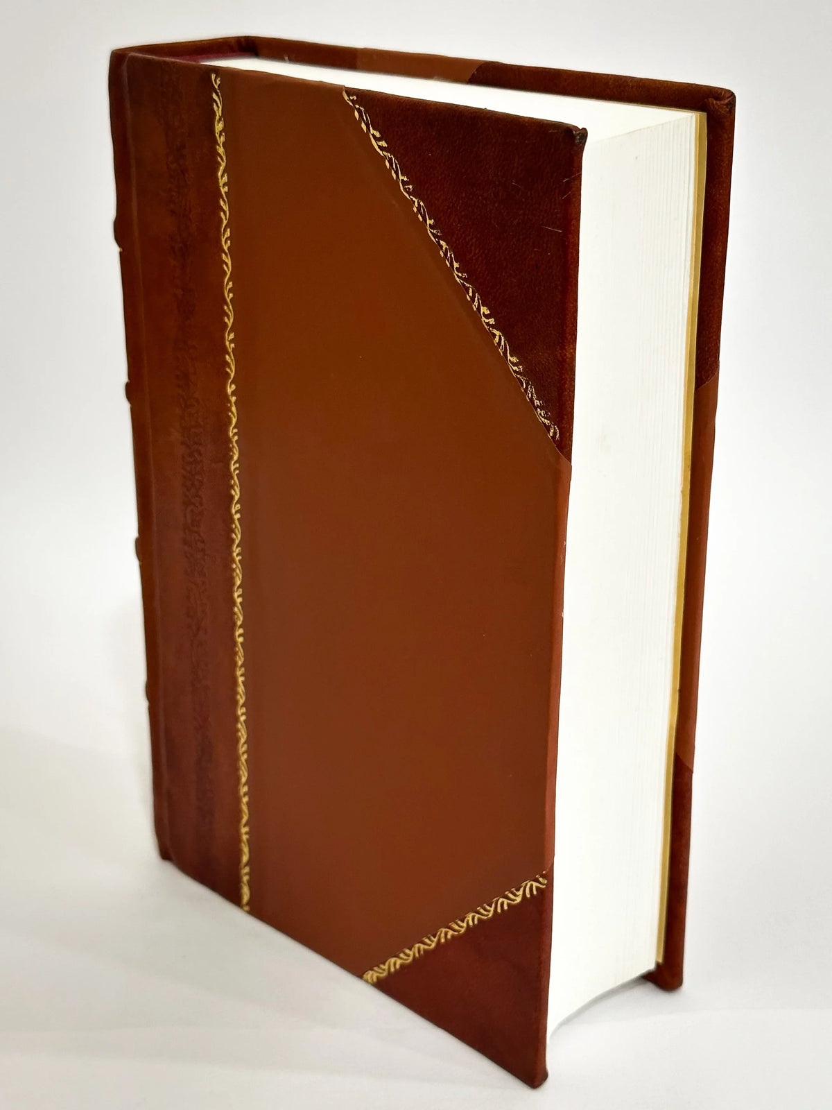 Apostolorum Et Sanctorum Conciliorum Decreta Graece Et Latine Ed. Ab Elia Ehingero (1614) [Leather Bound]