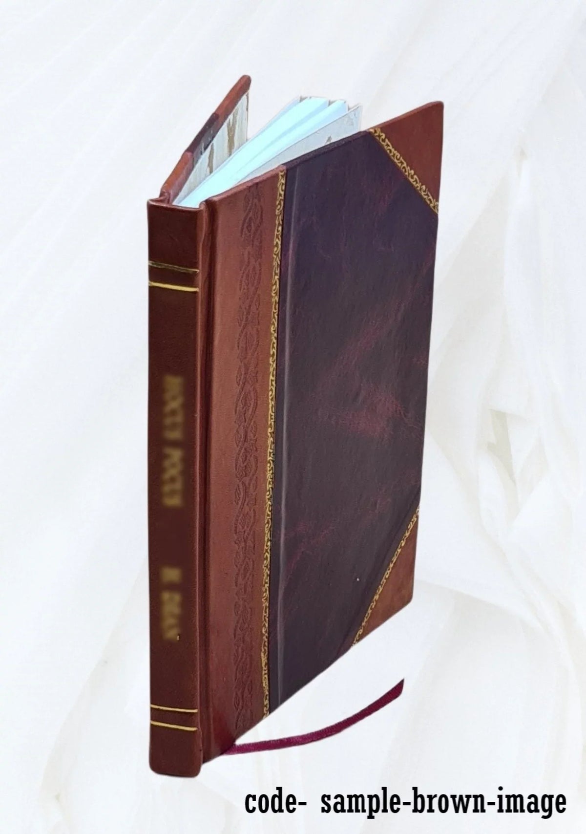 NAEP 1998 reading state report for New York / Nada Ballator, Laura Jerry ; in collaboration with Alfred Rogers. 1999 [Leather Bound]
