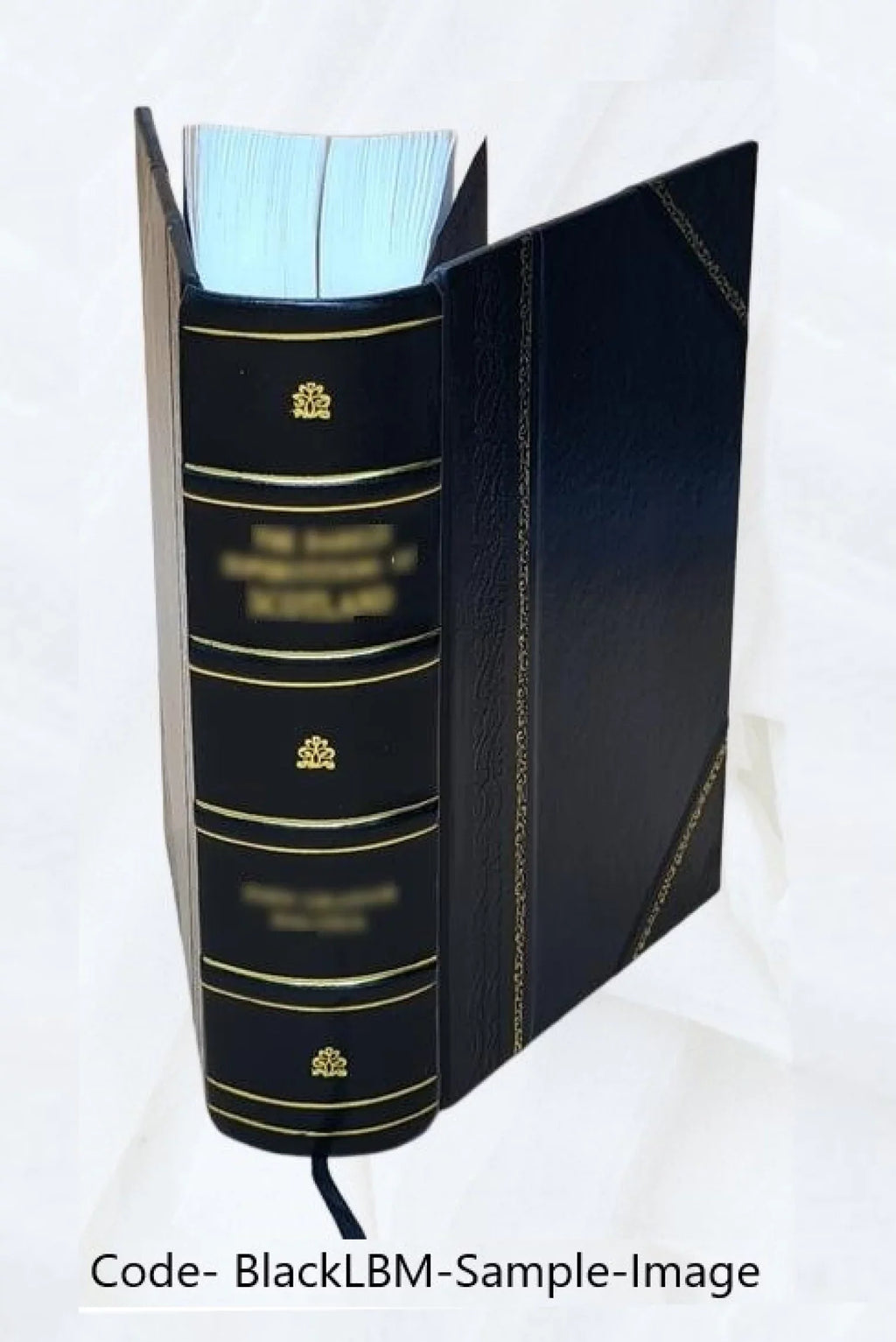 Histoire naturelle générale et particuliére avec la description du Cabinet du Roy : tome second 1750 [Leather Bound]